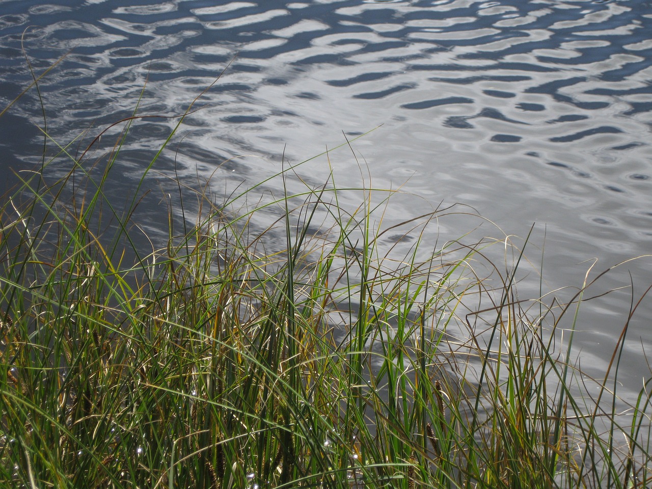 water lake nature free photo