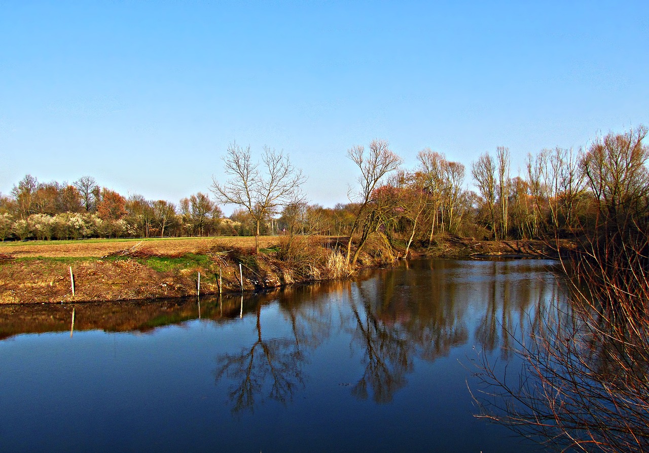 water pond river free photo