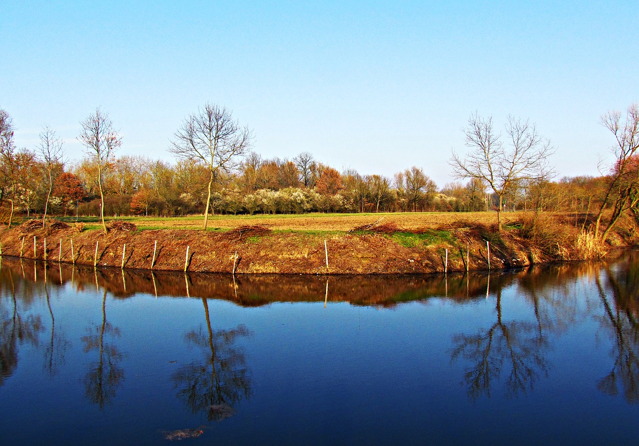 water pond river free photo