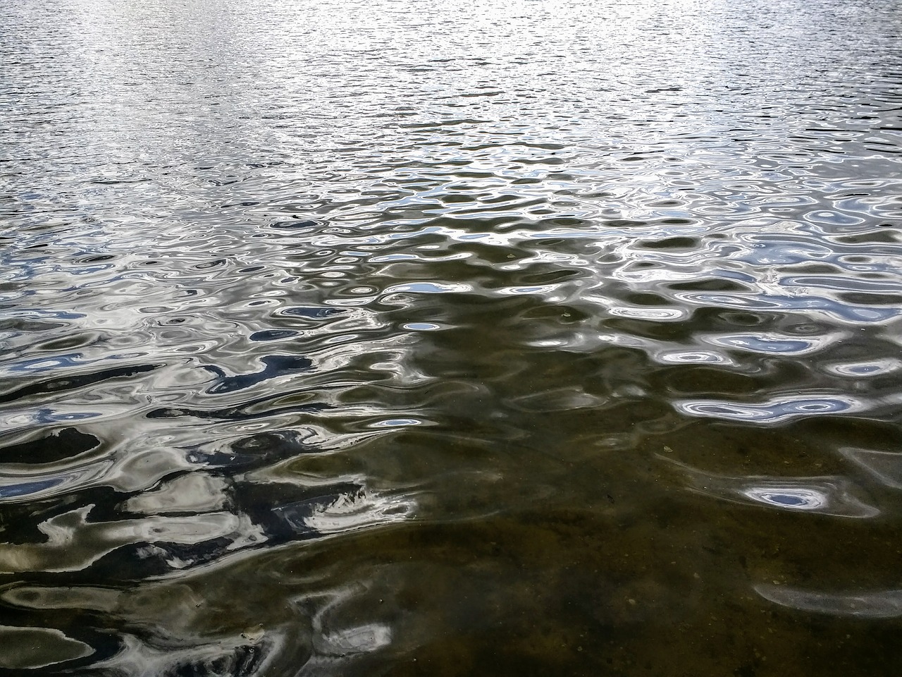 water water surface reflection free photo
