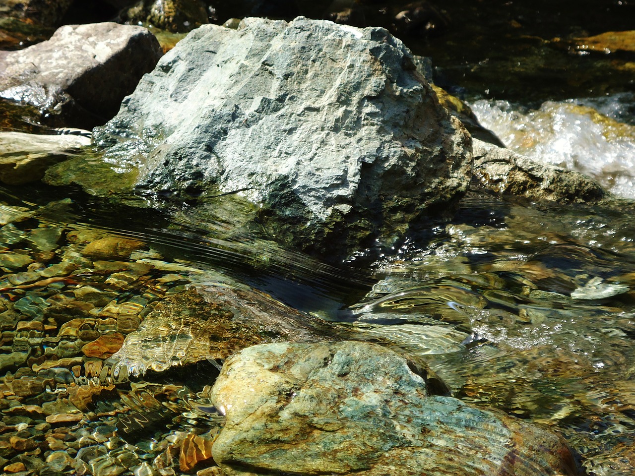 water clear river free photo