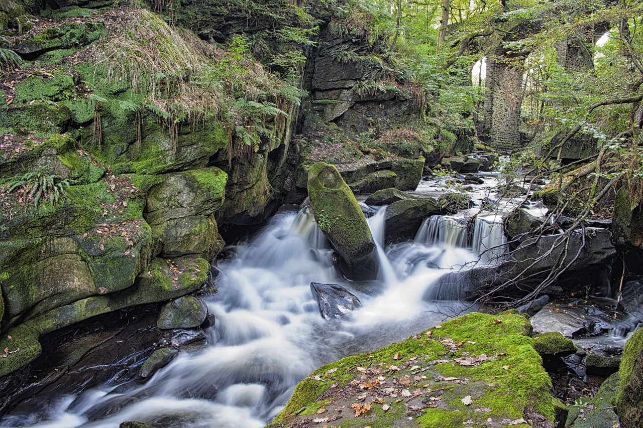 water nature summer free photo