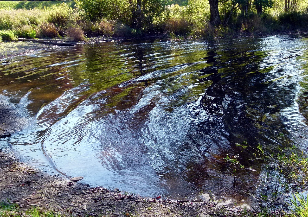 water reflection lake free photo