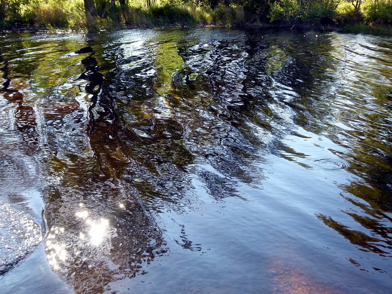 water reflection lake free photo