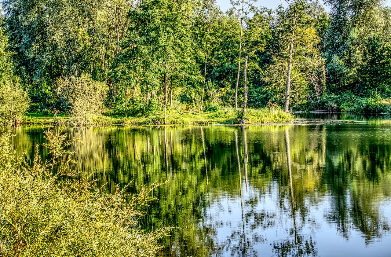 water lake mirroring free photo