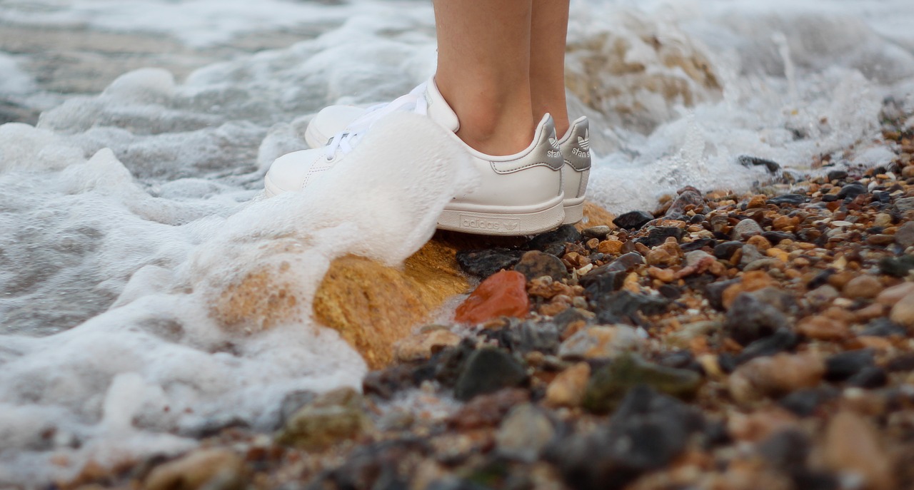 water the sea the beach free photo