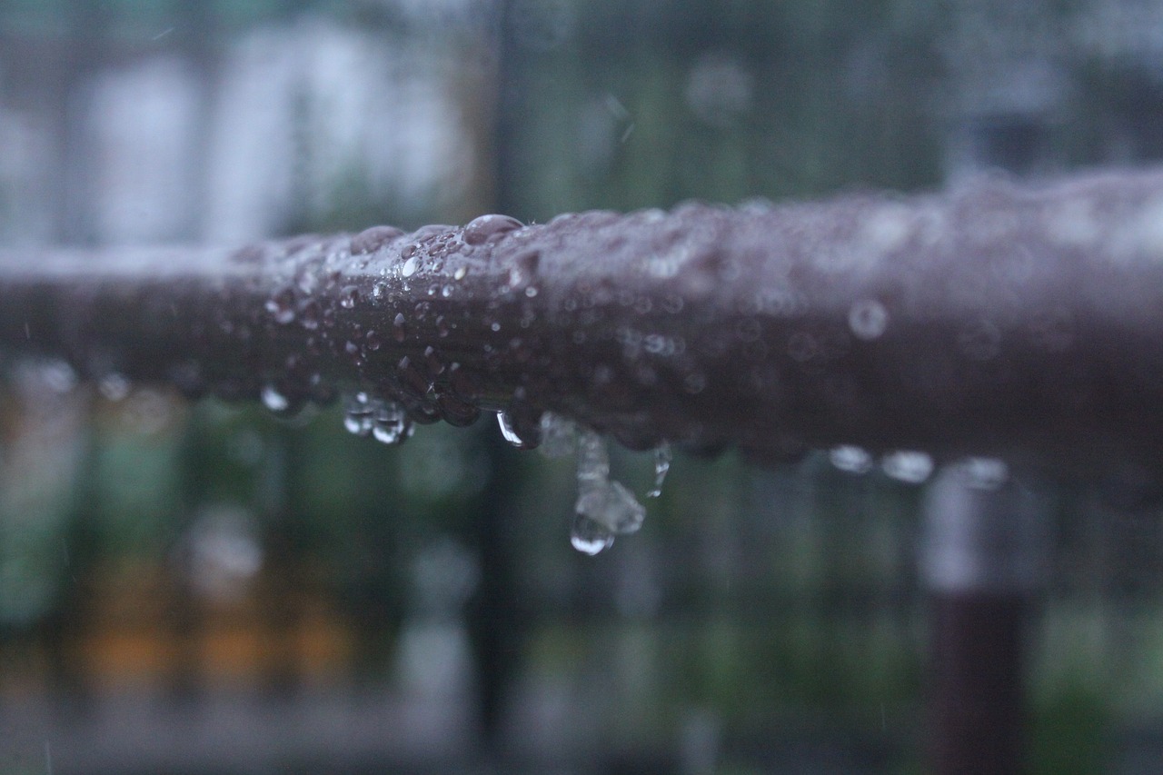 water rain close up free photo