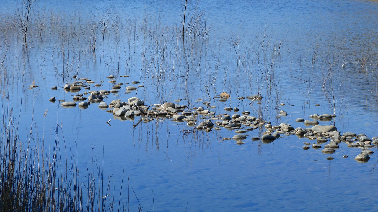 water nature reflections free photo