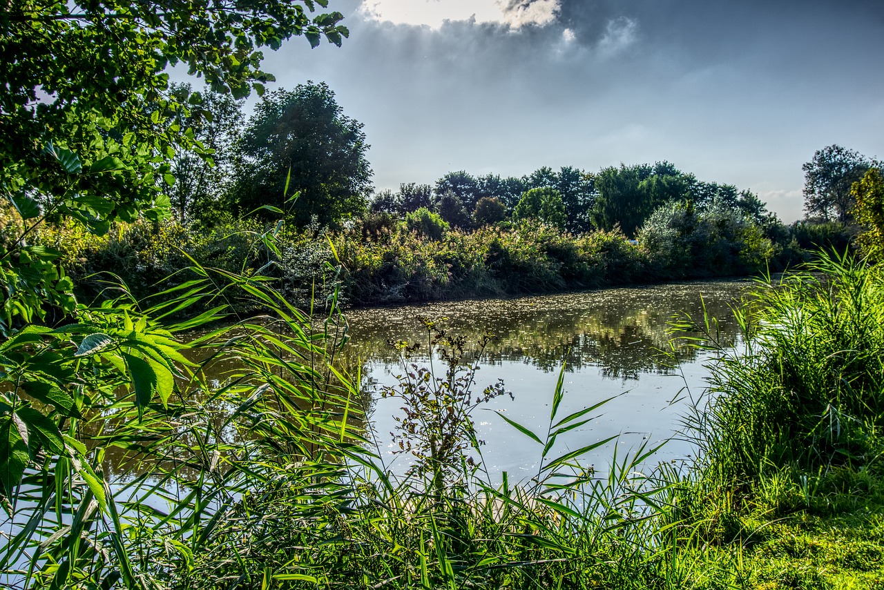 water lake mirroring free photo