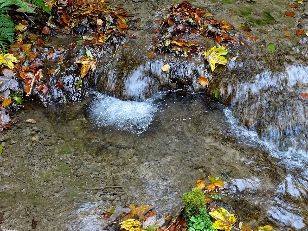 water bach autumn free photo