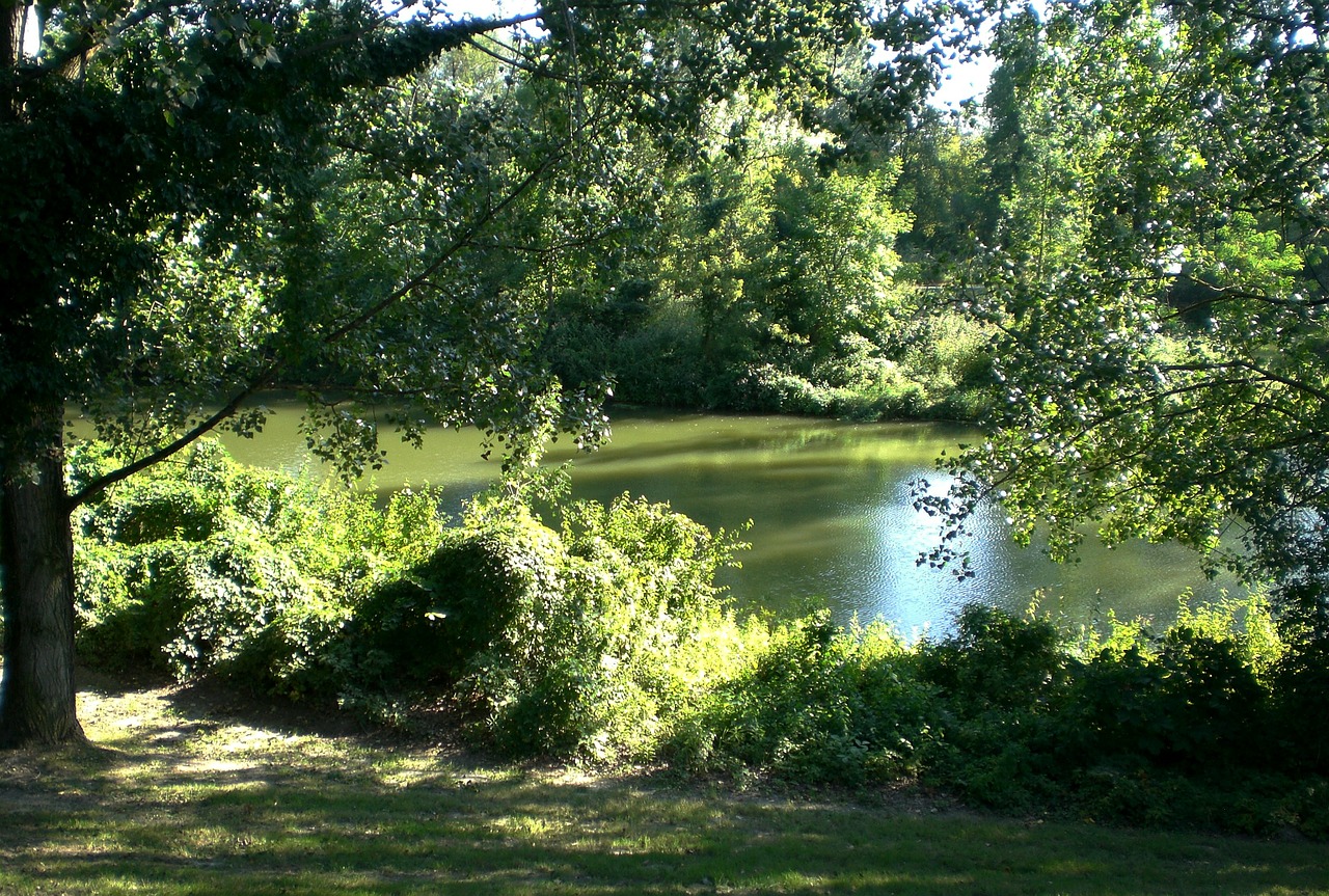 water river reflection free photo