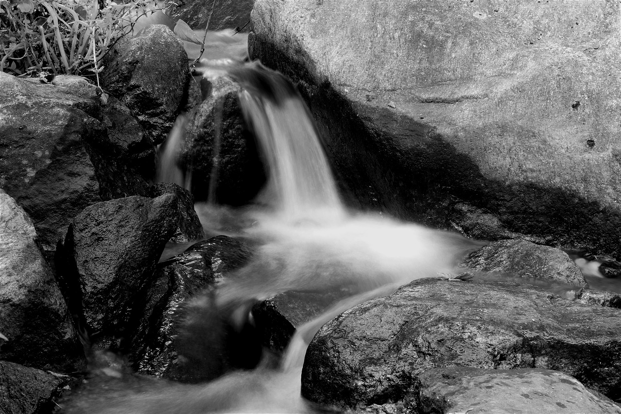 water stream nature free photo