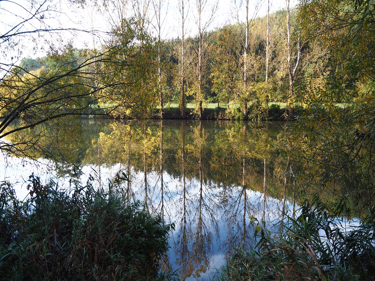 water mirroring nature free photo