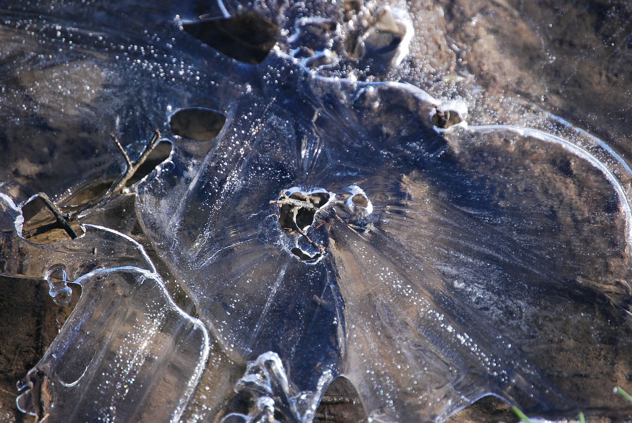 water ice frost free photo