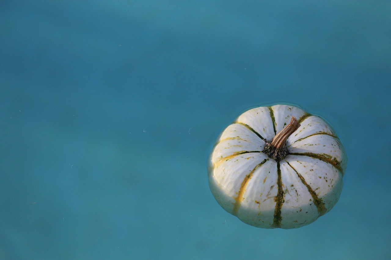 water pumpkin wet free photo