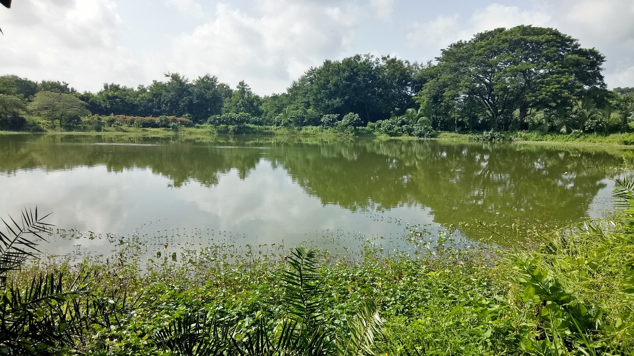 water landscape nature free photo