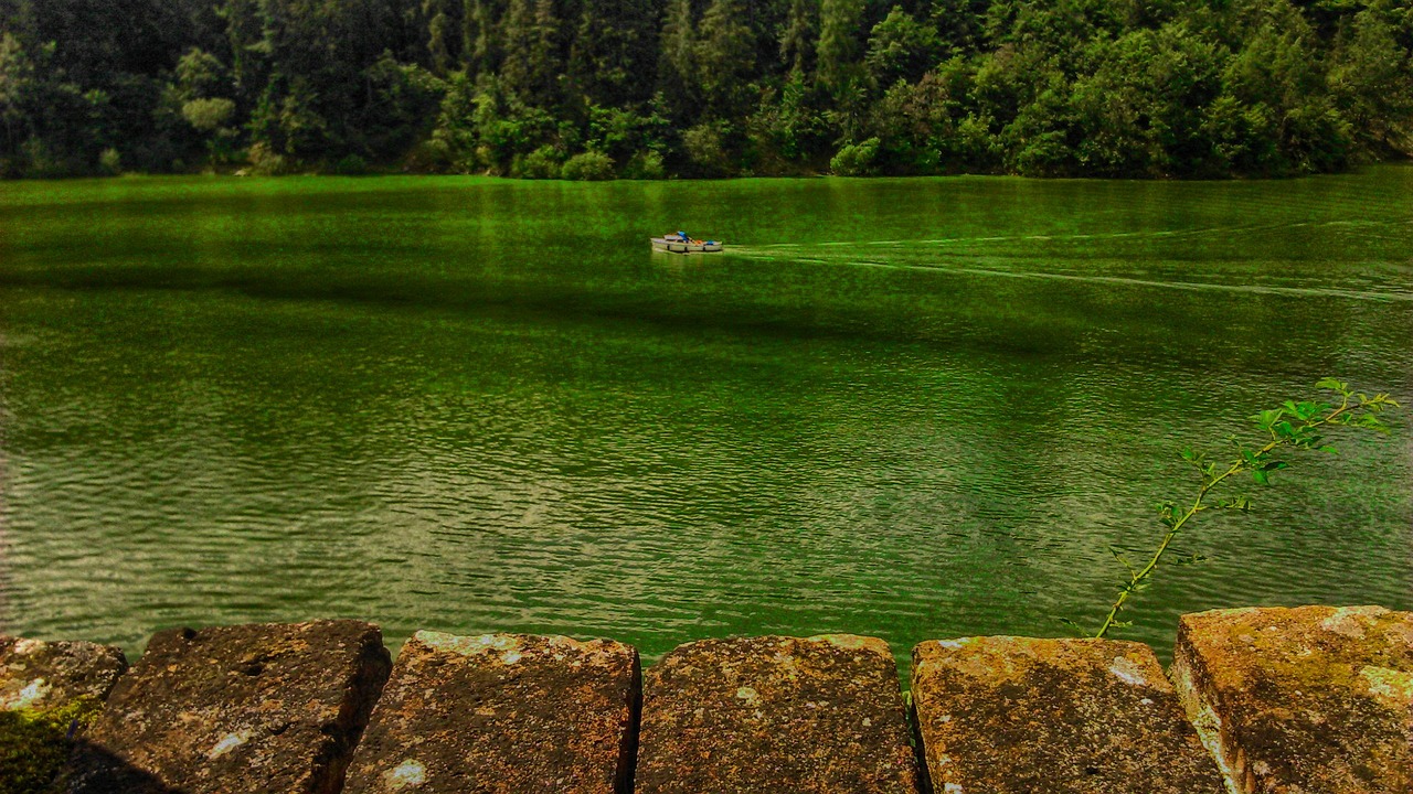 Зеленая вода в озере. Вода озеро. Зеленый пруд. Озеро с прозрачной водой. Вода в пруду.