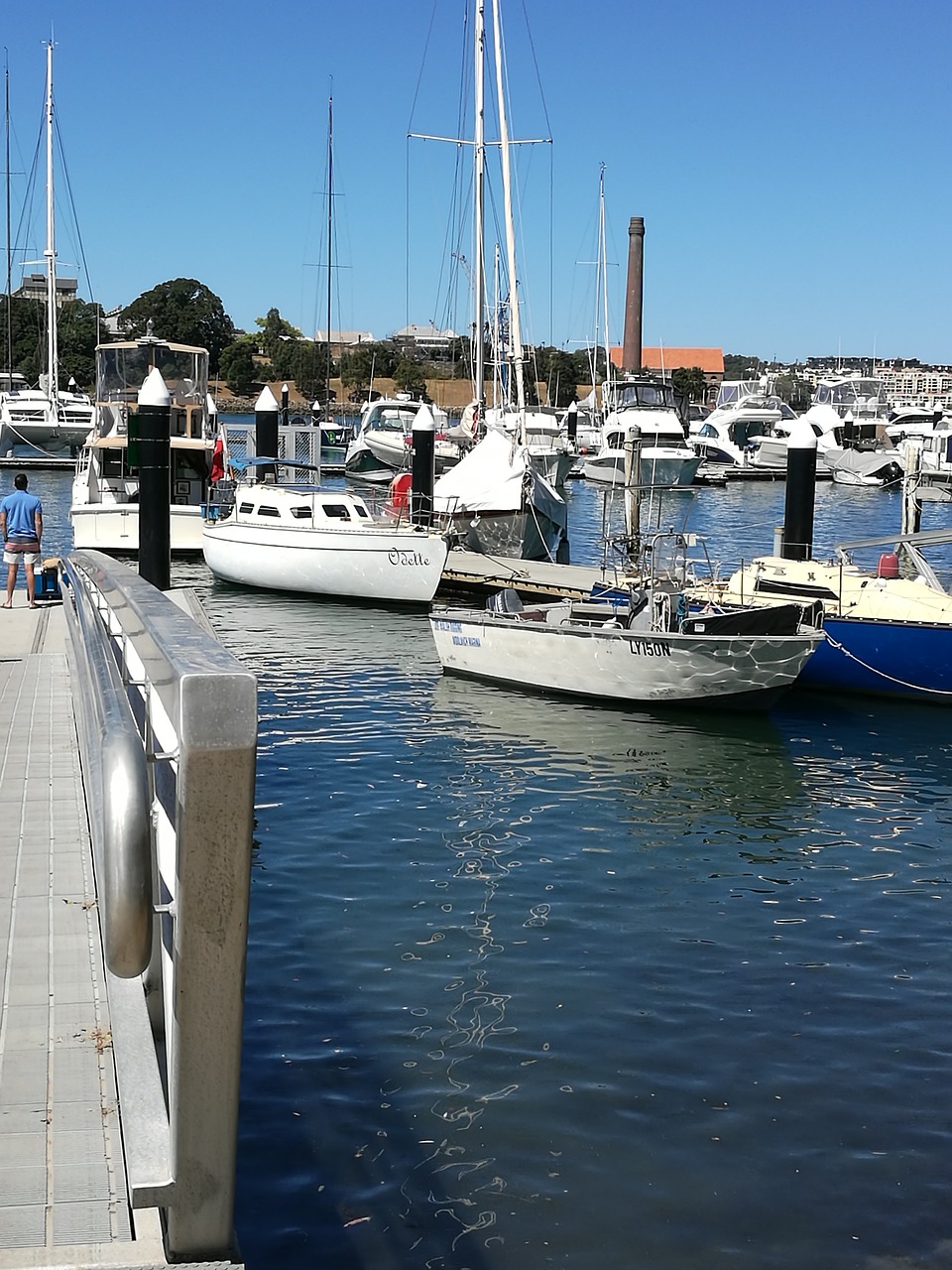 water yacht sailboat free photo