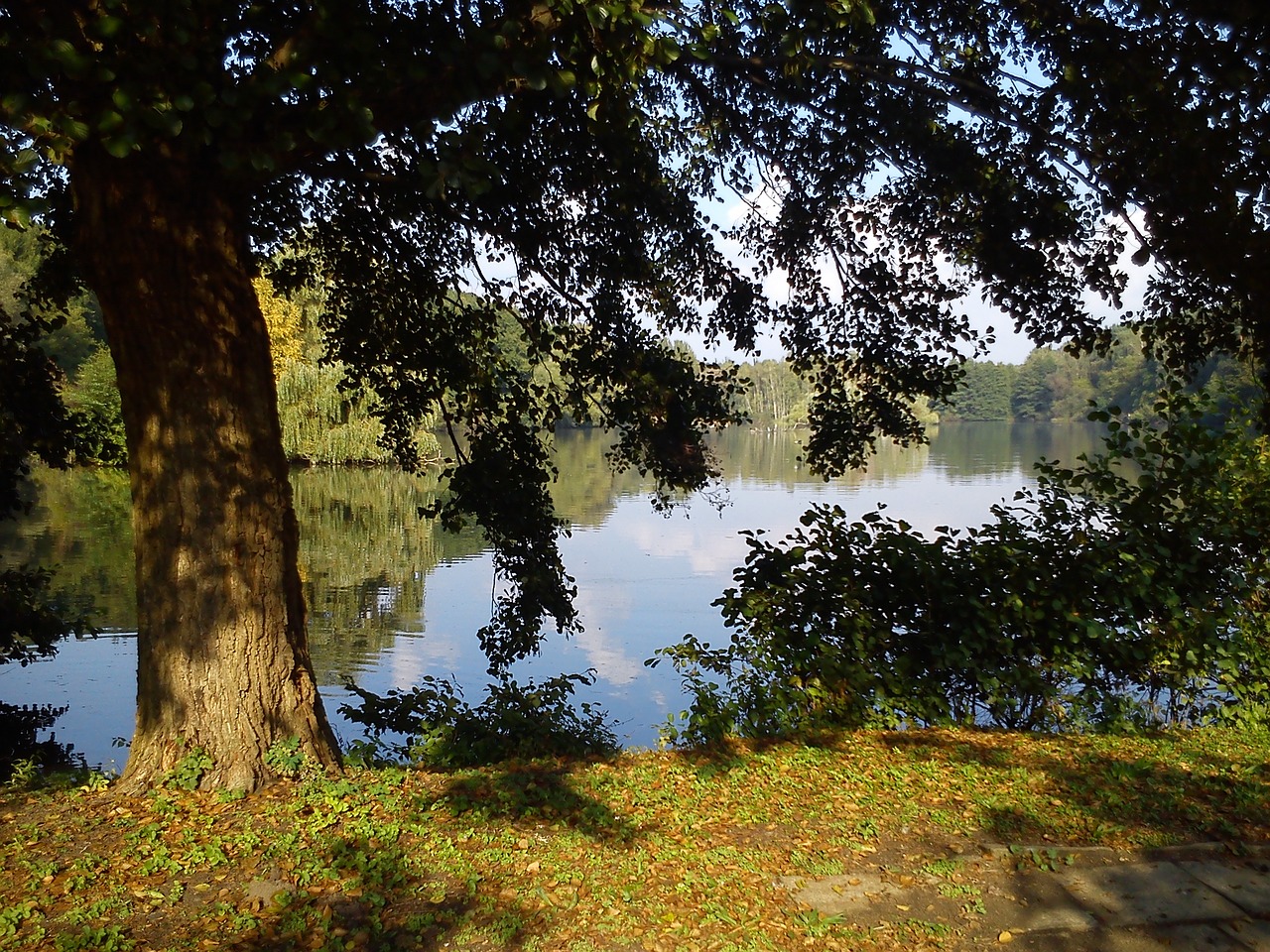 water climatically landscape free photo