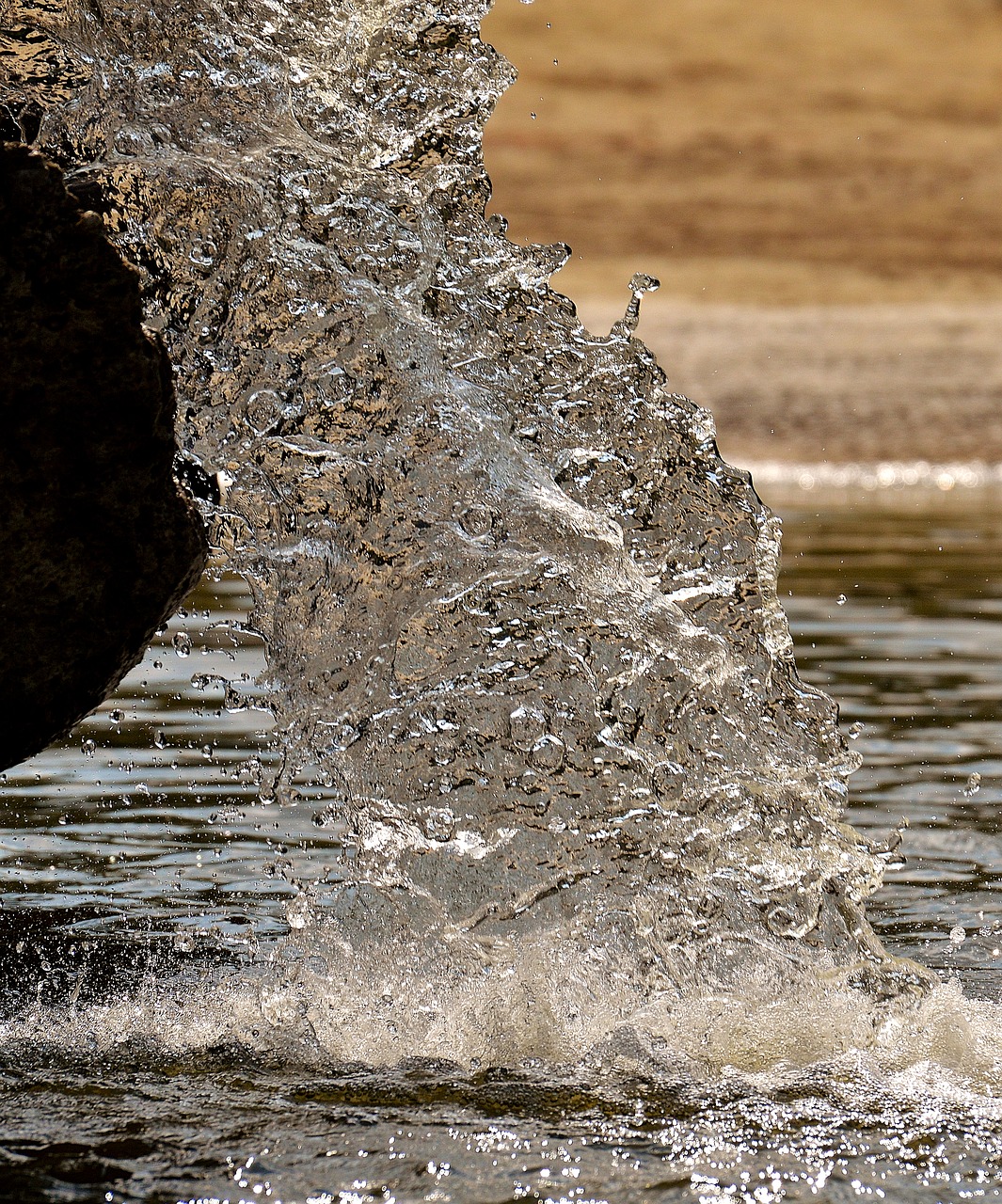 water fountain spray free photo