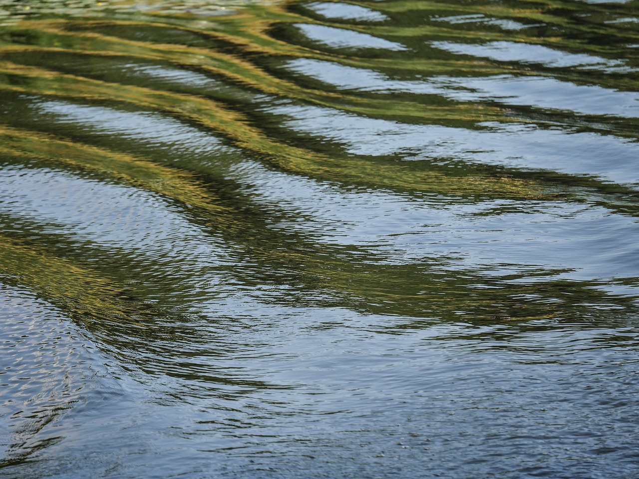 water wave reflections free photo