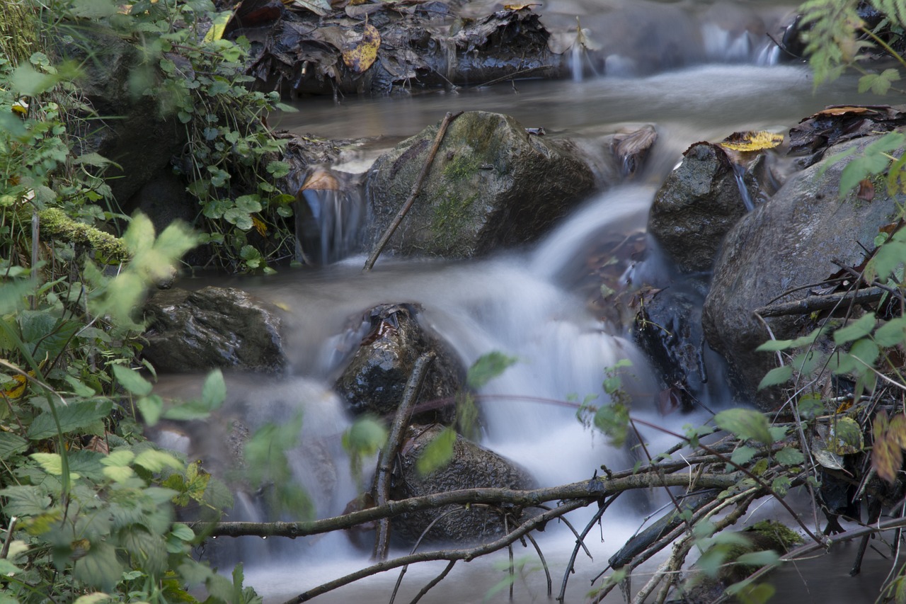 water nature bach free photo