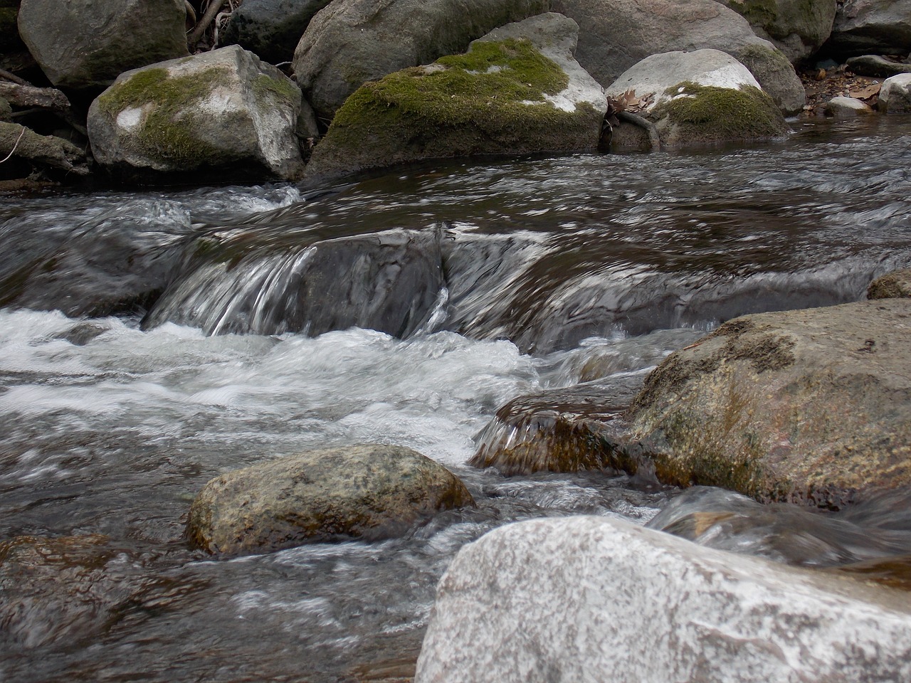 water nature stream free photo