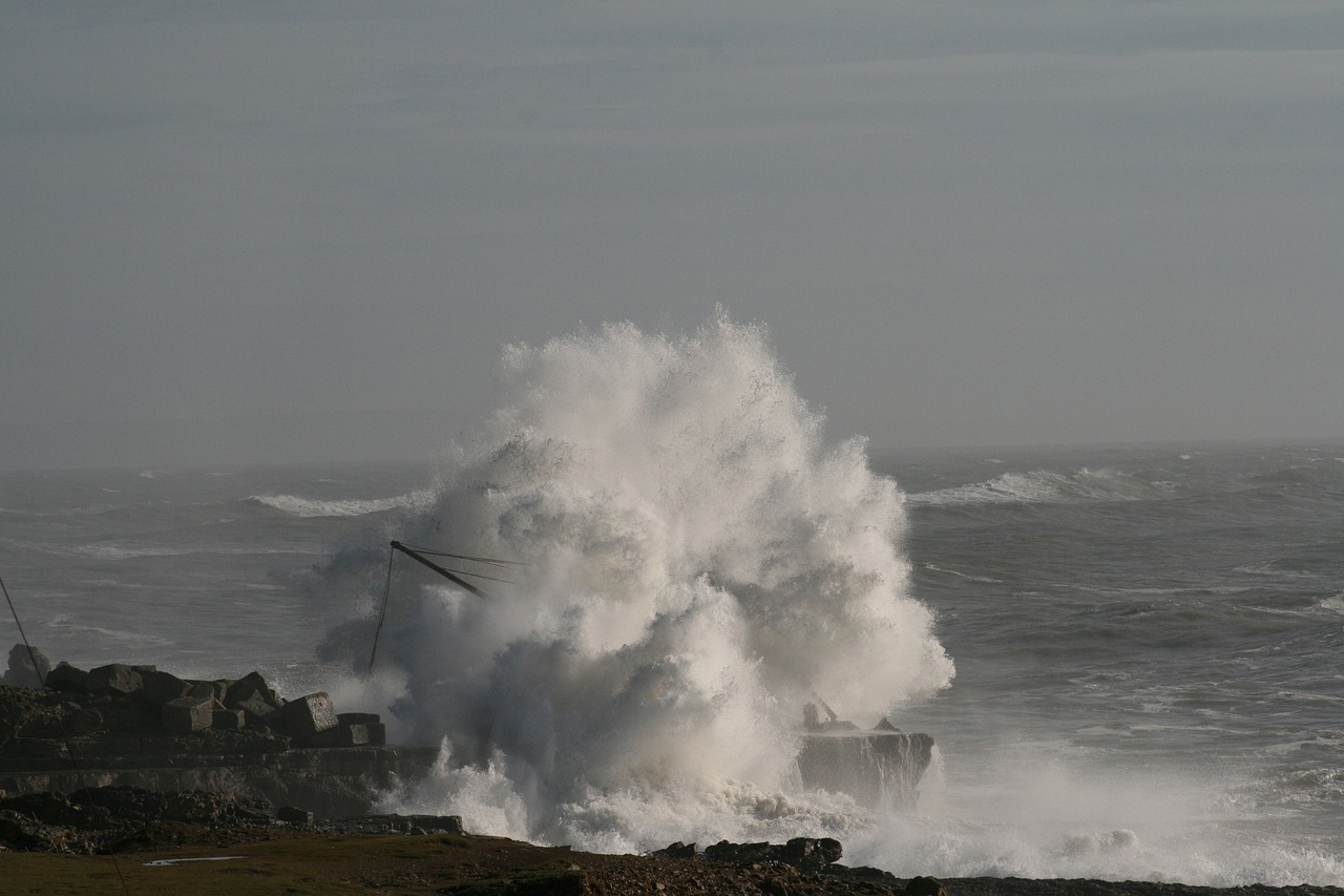 water sea ocean free photo