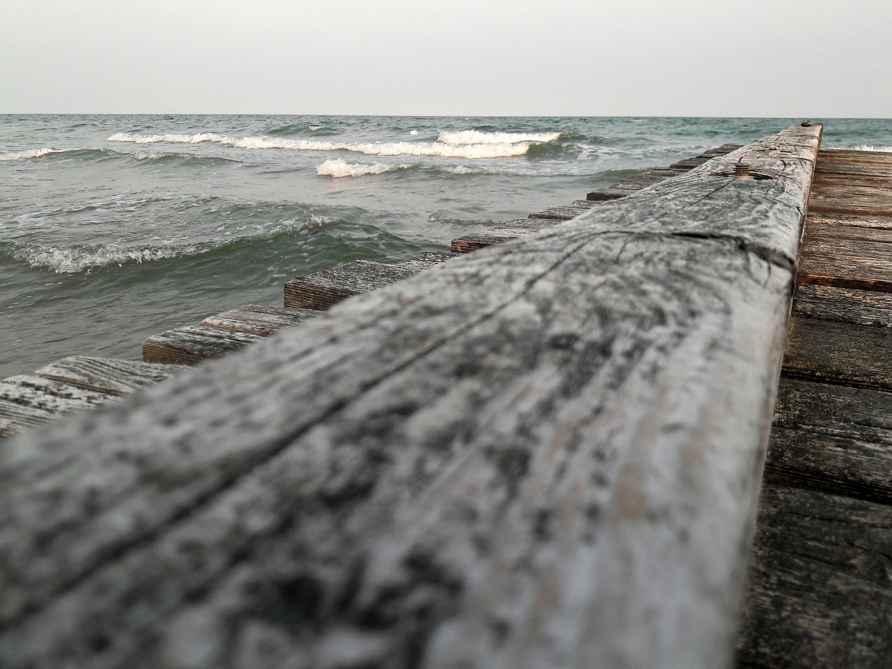 water sea beach free photo