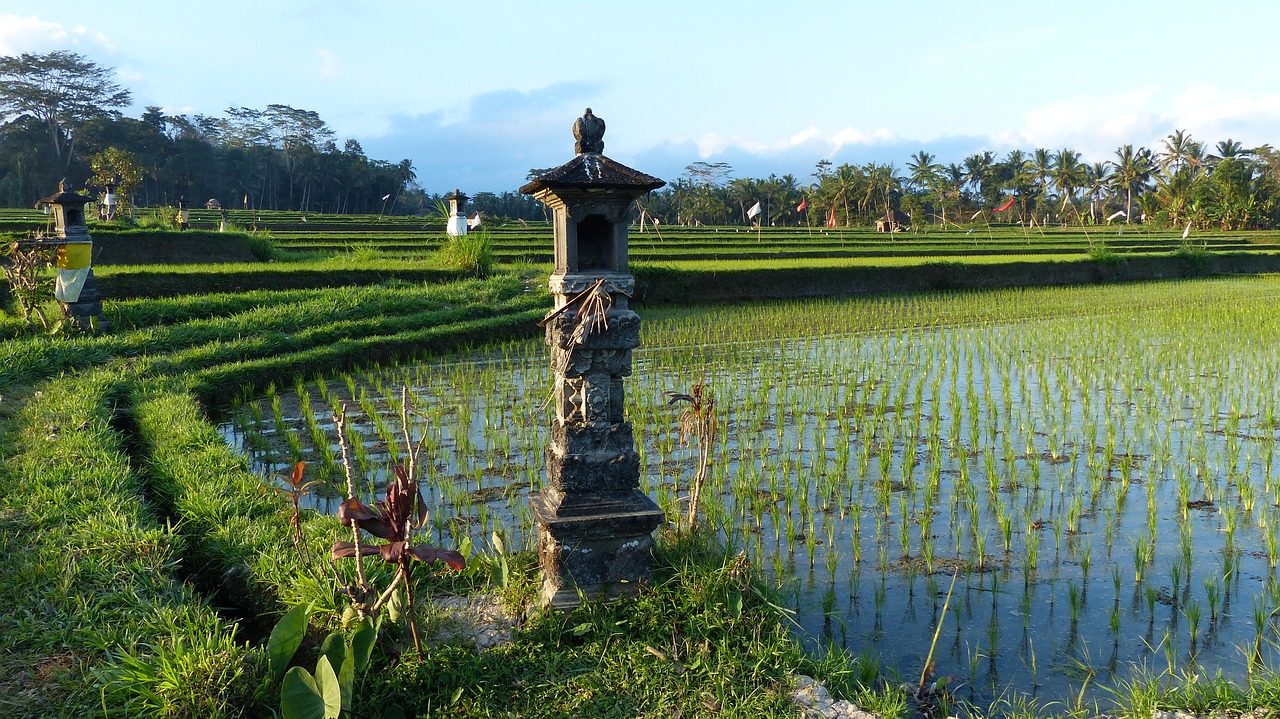 water nature agriculture free photo