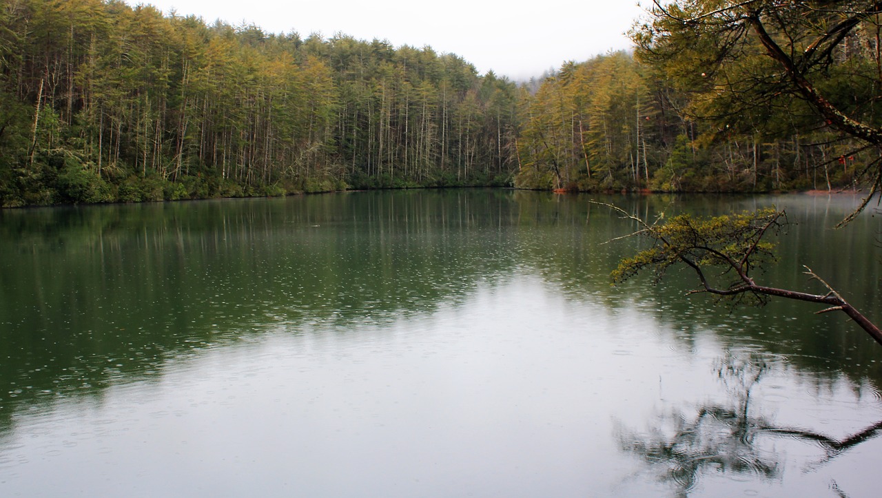 water nature reflection free photo