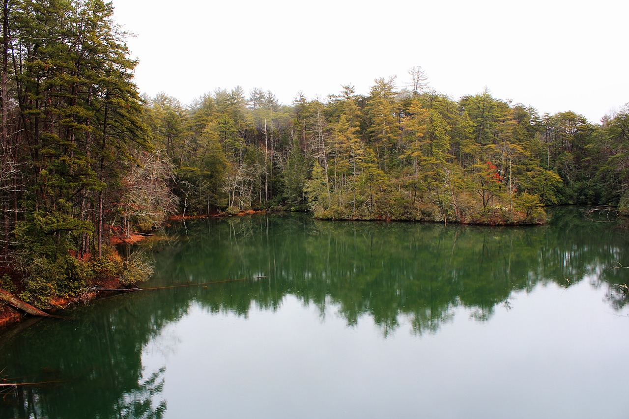 water nature lake free photo