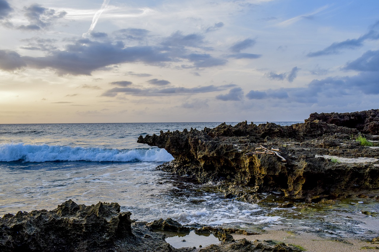 water sea seashore free photo