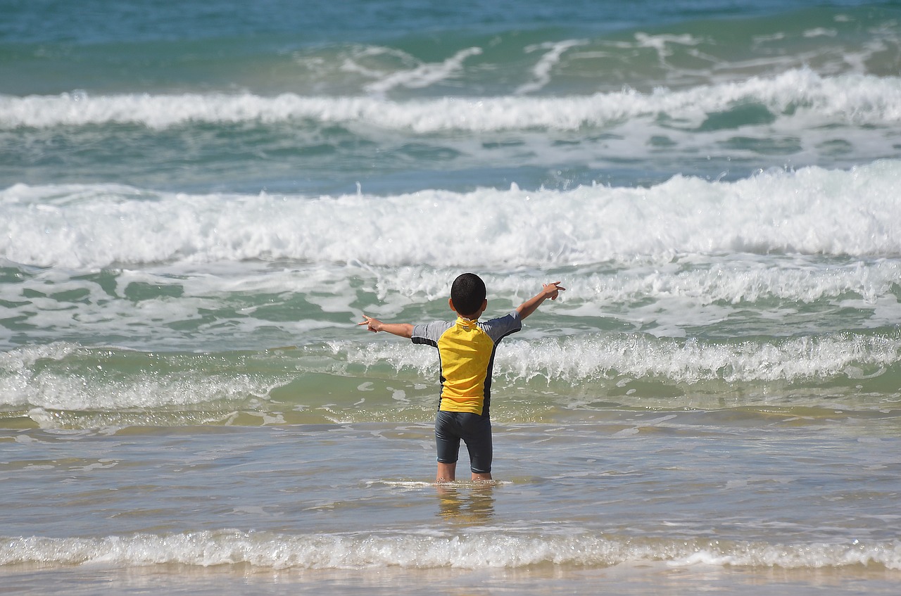 water sea beach free photo