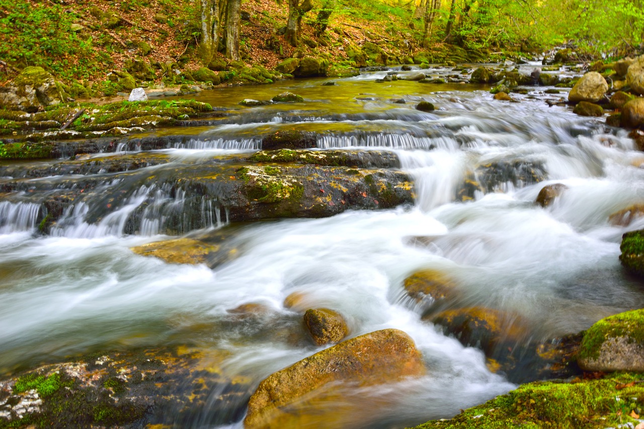 water stream nature free photo