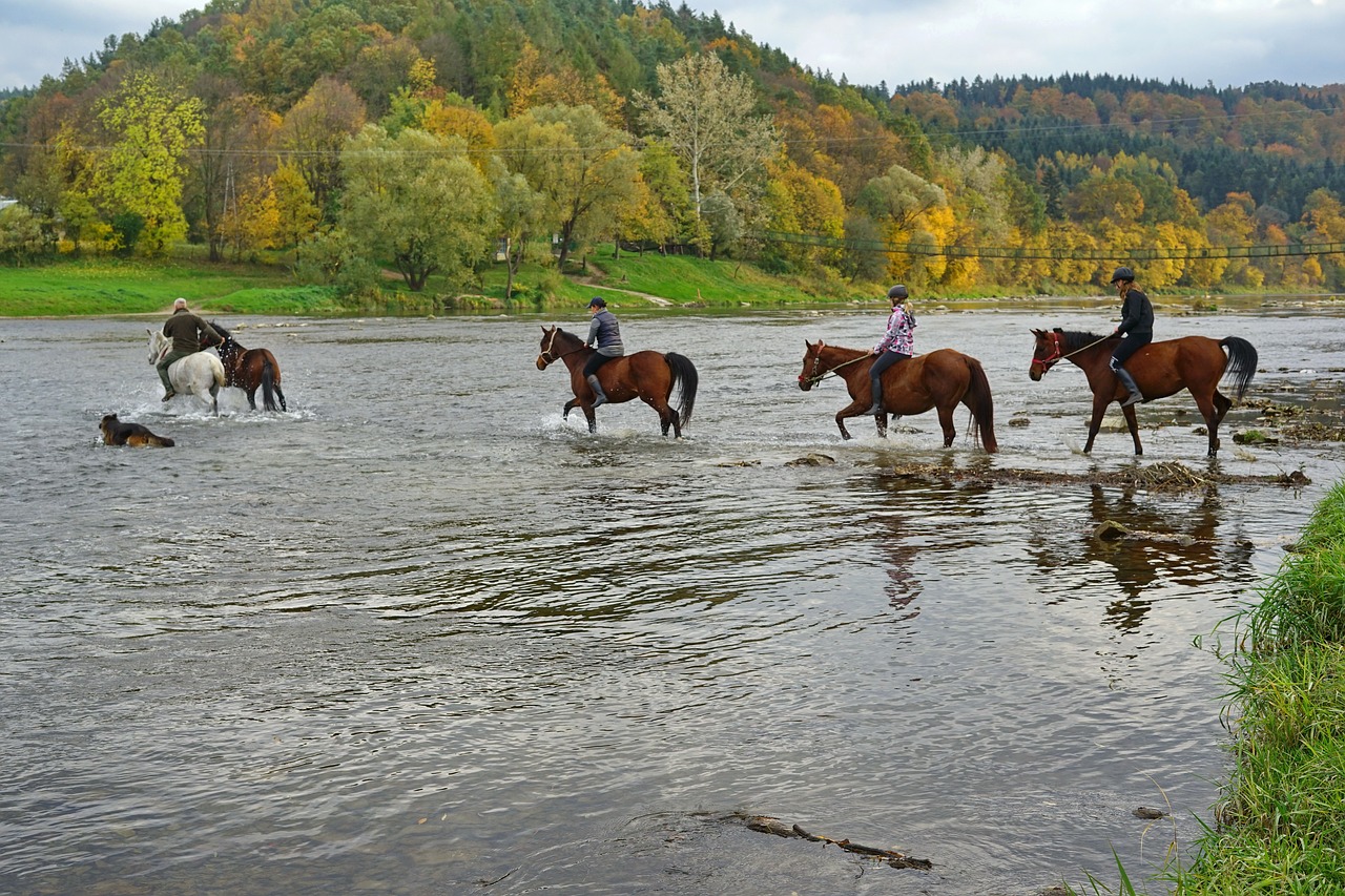 water nature river free photo