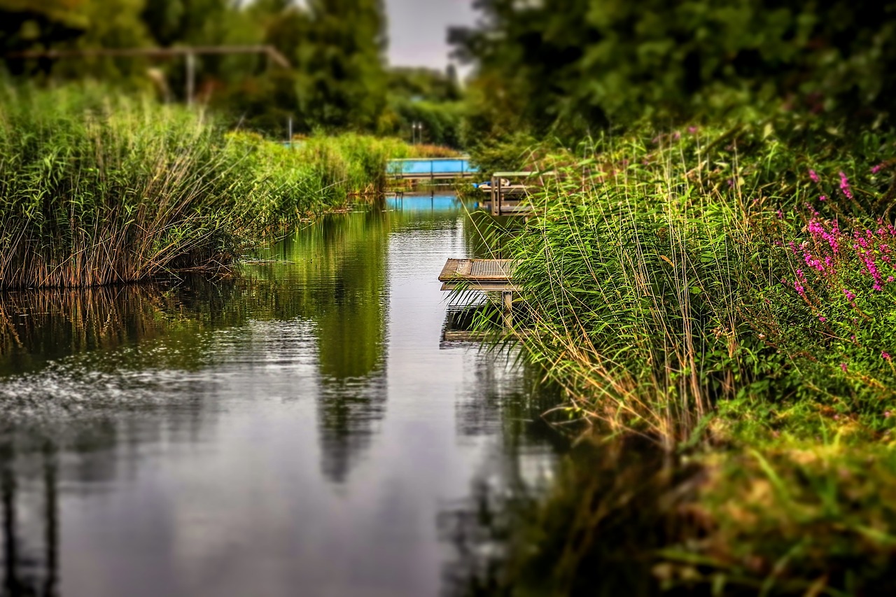 water nature reflection free photo