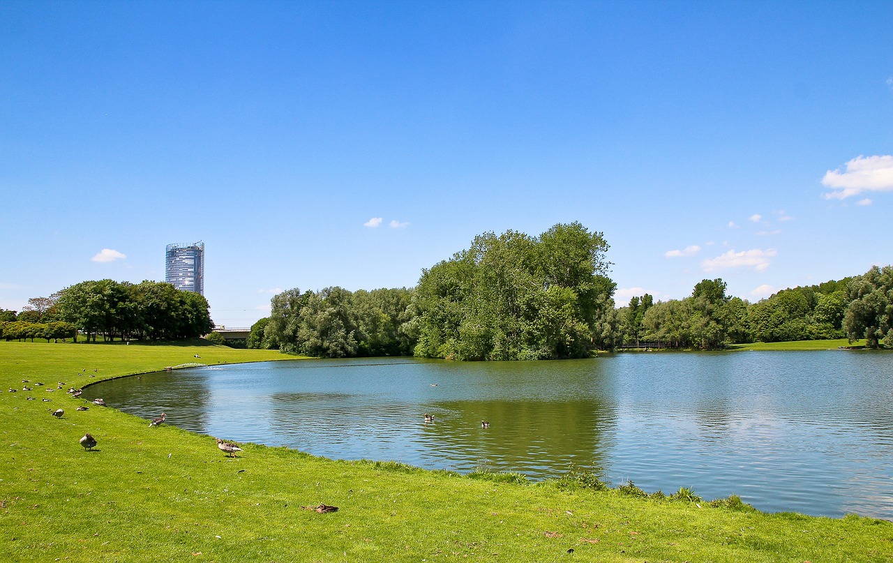 water lake landscape free photo