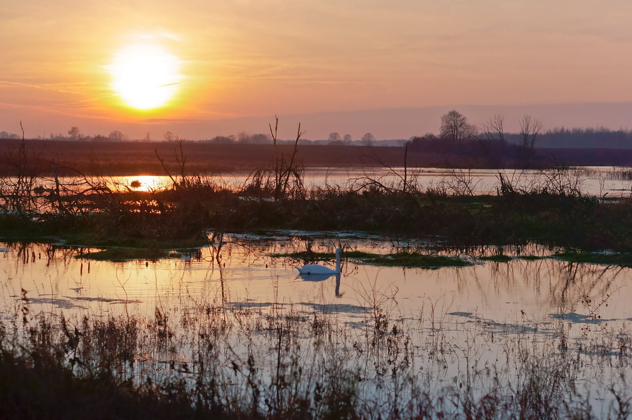 water reflection dawn free photo