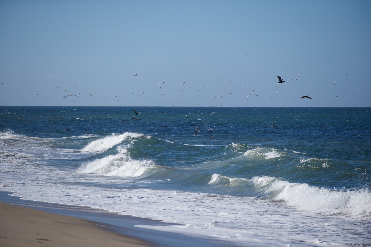 water sea surf free photo