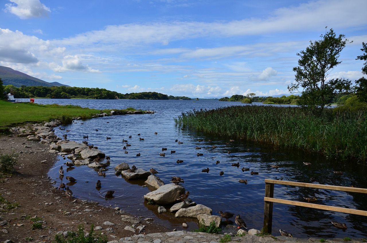 water river nature free photo