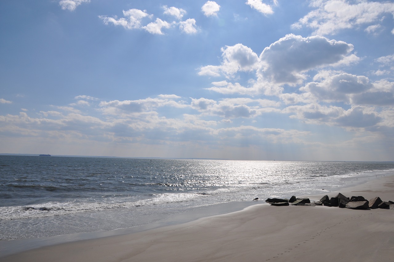 water sea beach free photo