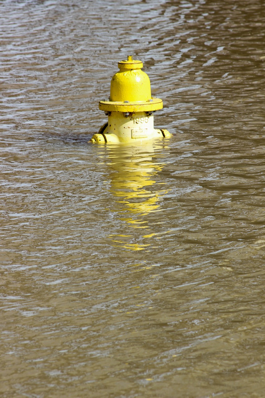 water reflection sea free photo