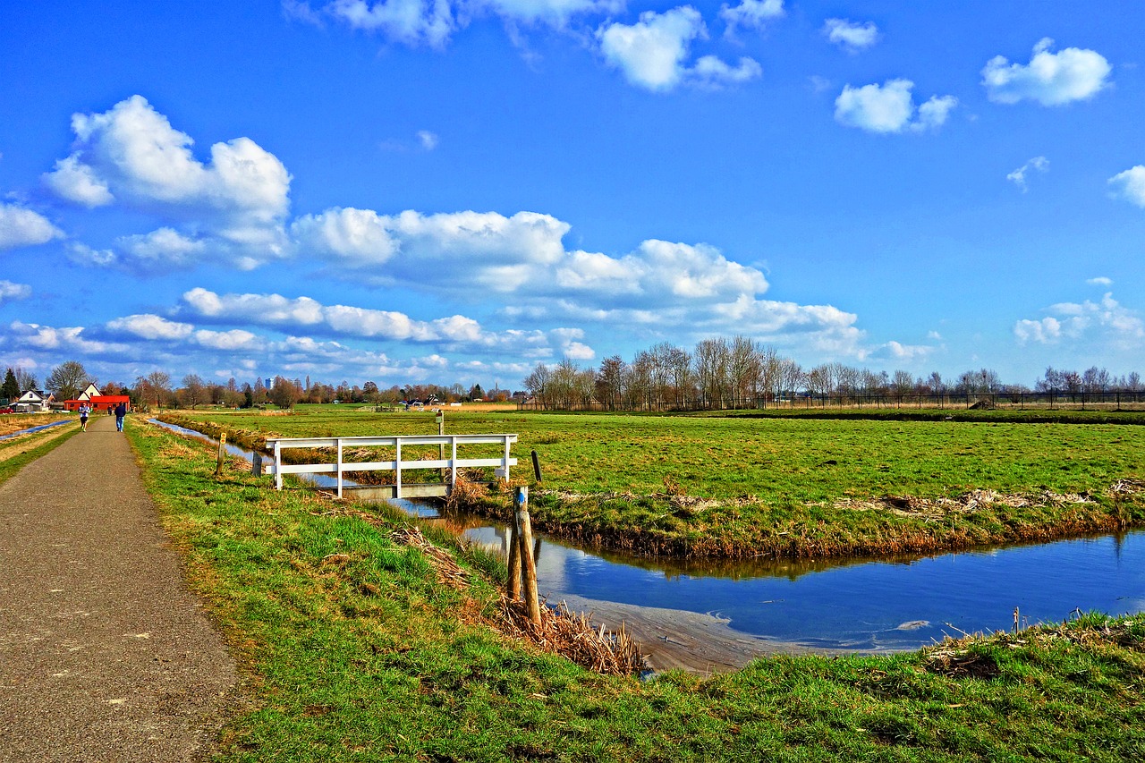 water waterway field free photo