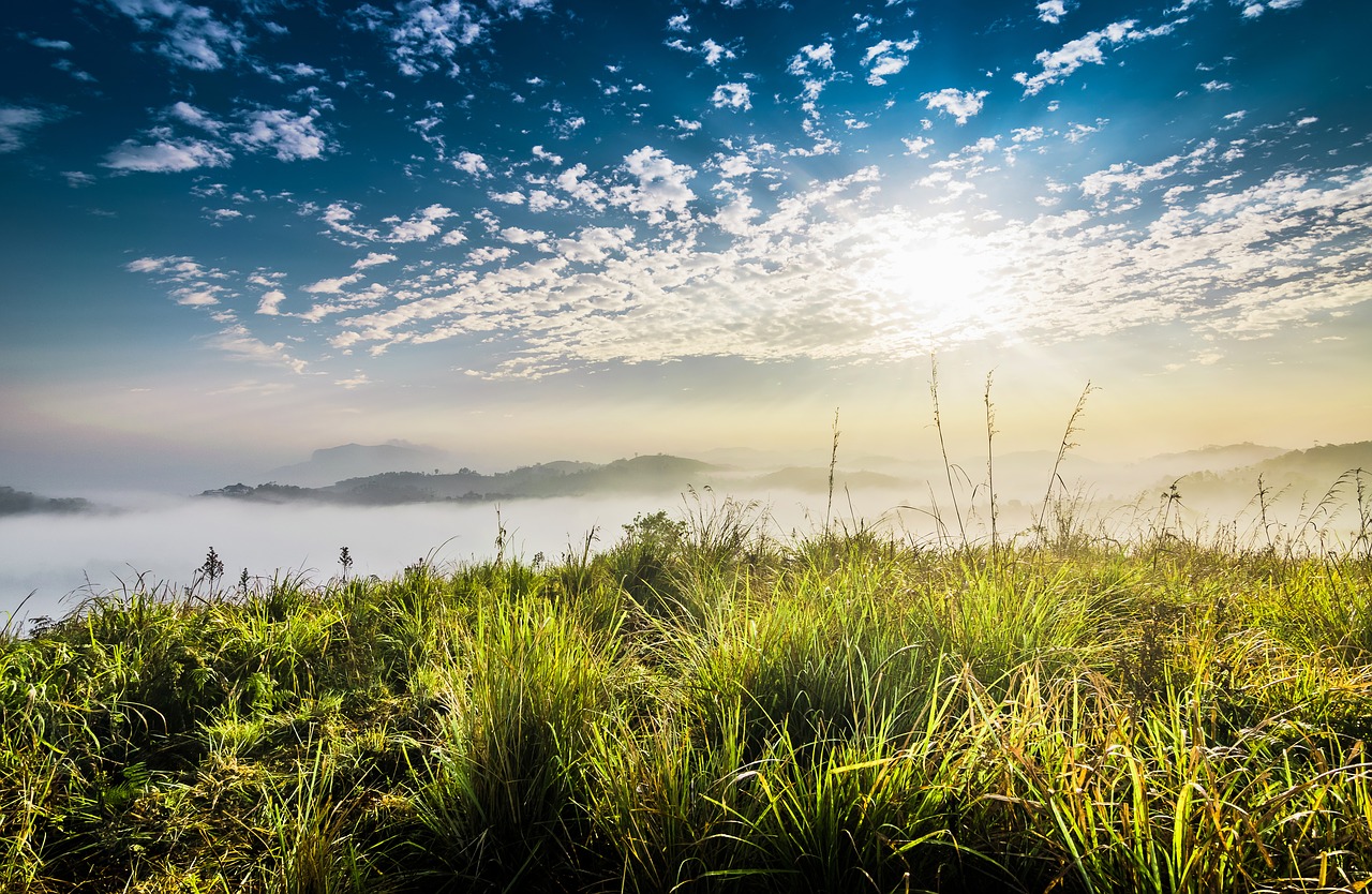 water nature panoramic free photo