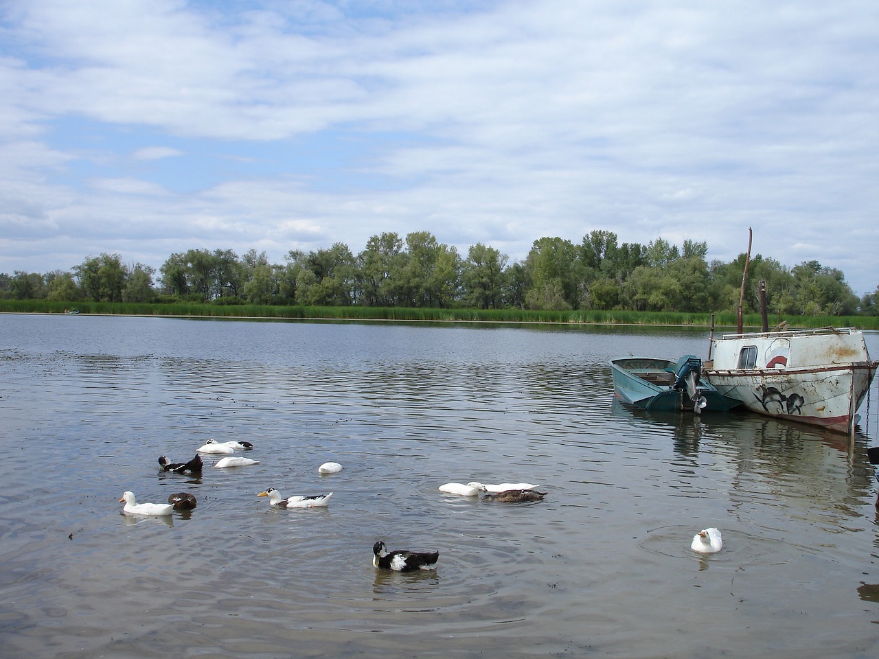 water nature lake free photo