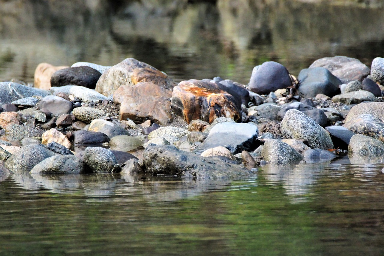 water nature river free photo