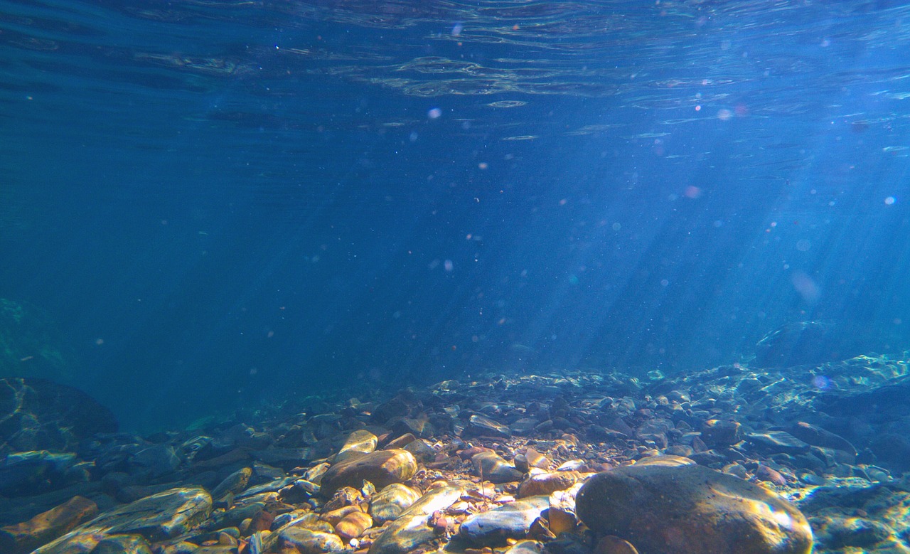 water sea ocean free photo