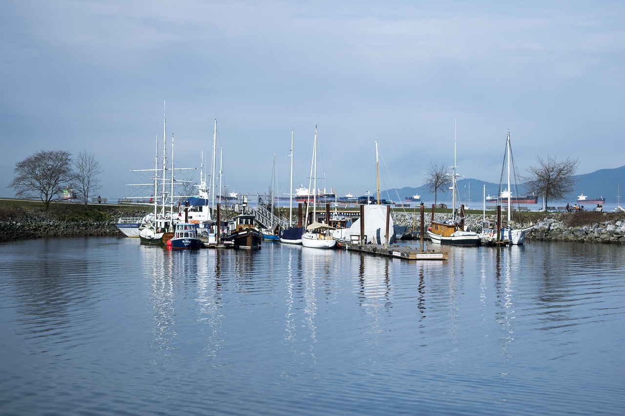 water harbor marina free photo