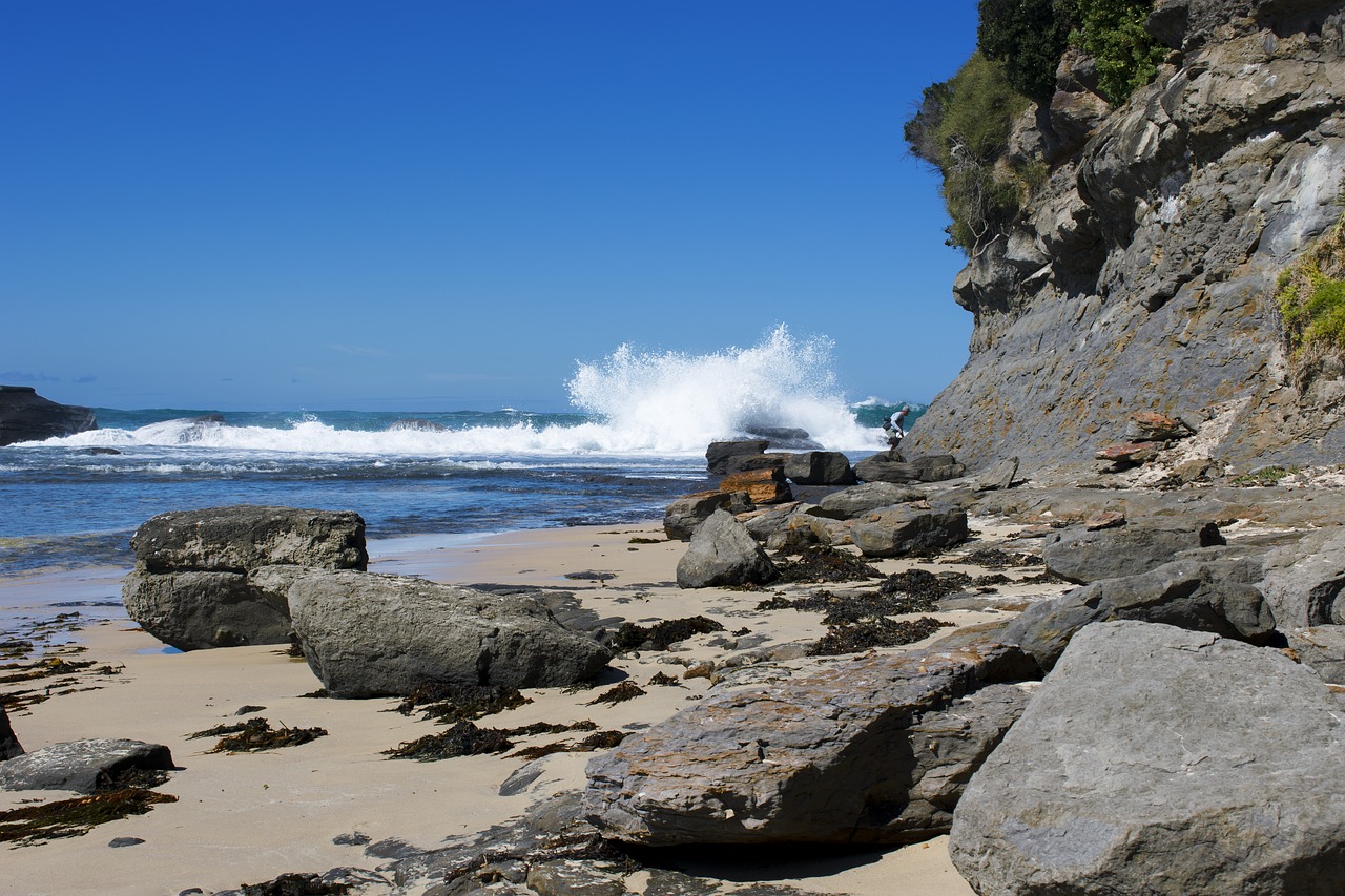 water seashore nature free photo